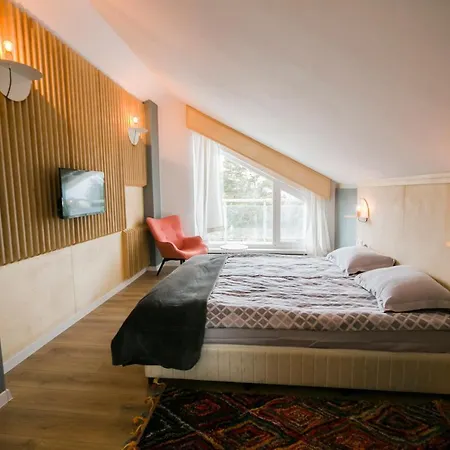 Saint George Palace Deluxe Collection 4* בנסקו