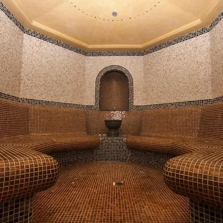 Saint George Palace Deluxe Collection 4* בנסקו